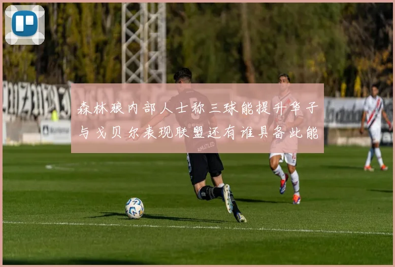 森林狼内部人士称三球能提升华子与戈贝尔表现联盟还有谁具备此能力
